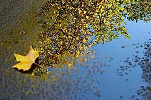 katherine-mccormack-r930kqfOEMY-unsplash